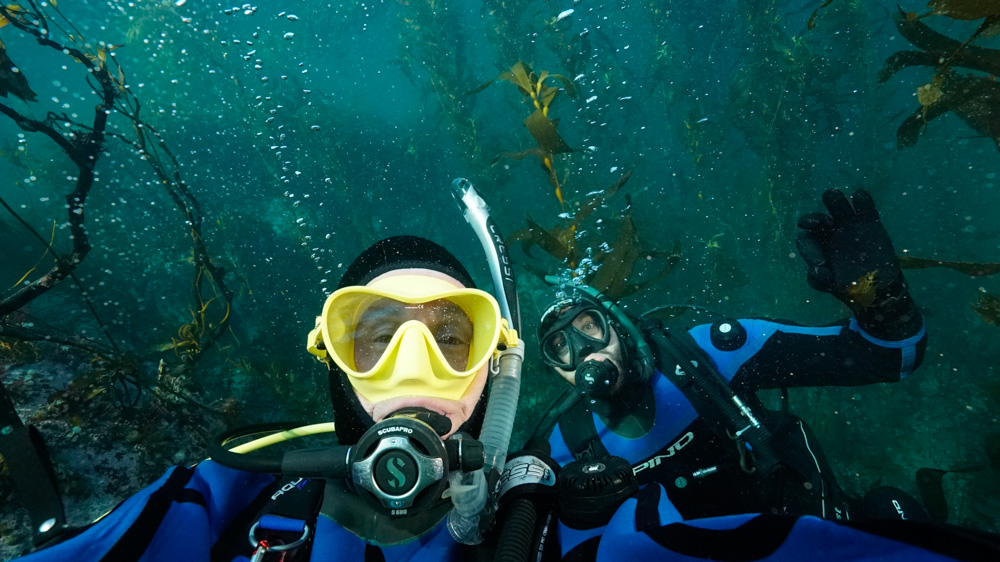 Nuevo método para estudios de biodiversidad marina: amigos y goce.